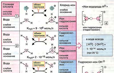 Кислоты и основания