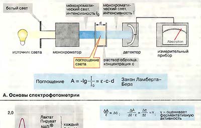 Ферментативный анализ