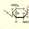 А. Структура полисахаридов