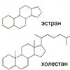 A. Базовая структура стероидов