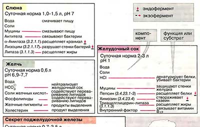Секреты пищеварительного тракта