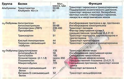 Белки плазмы крови