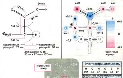 Строение молекул