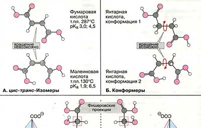 Изомерия