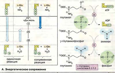 Энергетическое сопряжение