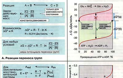 Равновесие