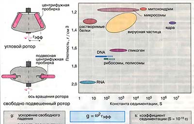 Центрифугирование