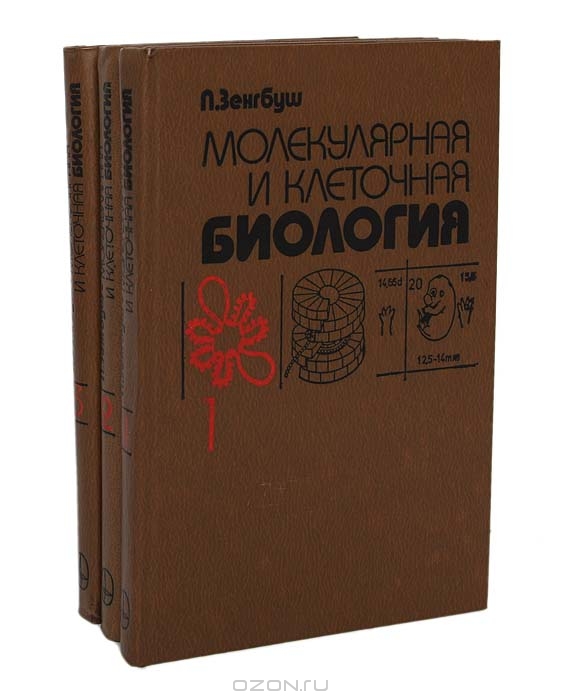 П. Зенгбуш / Молекулярная и клеточная биология (комплект из 3 книг) / В книге известного учёного ФРГ на самом современном уровне ...