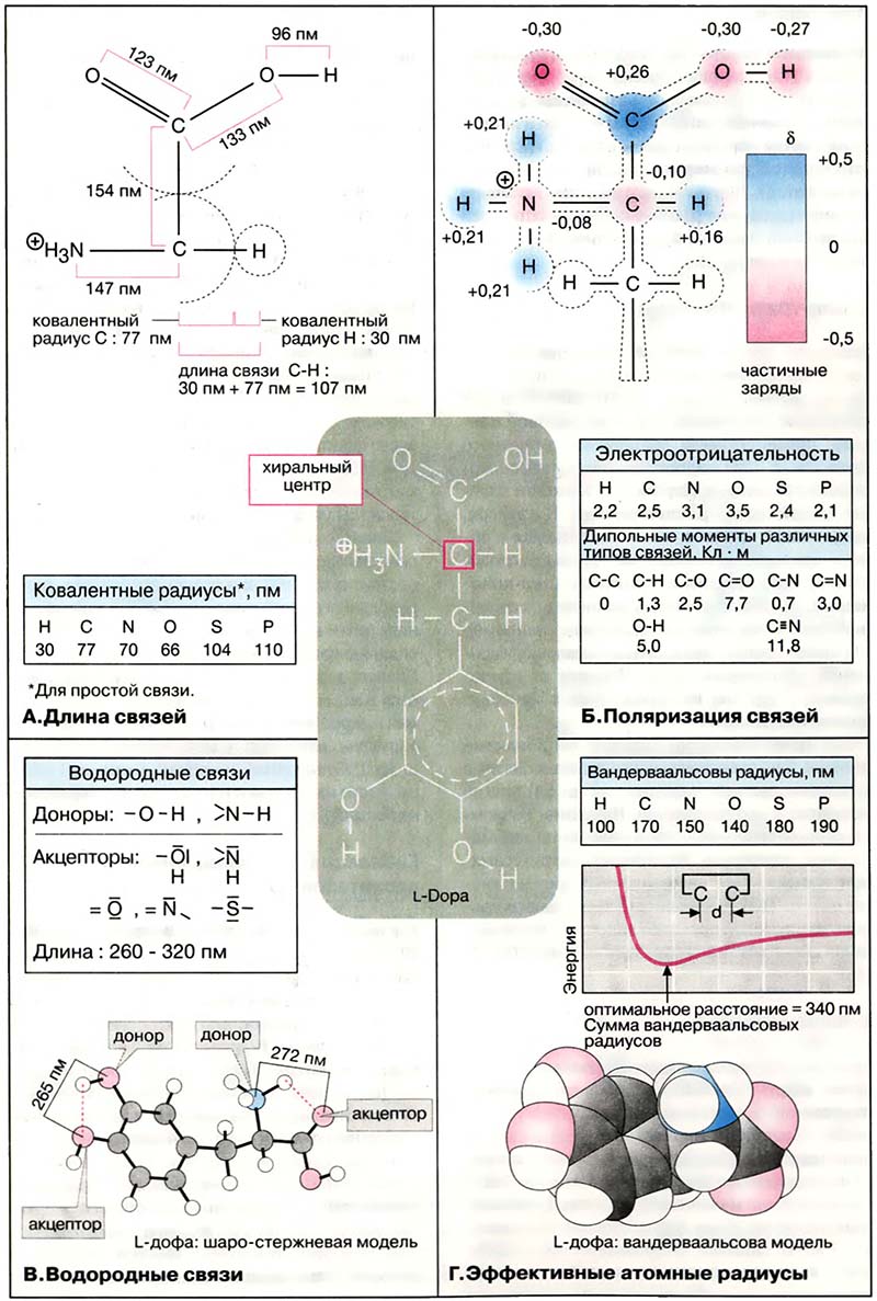 Основы биохимии. Общая химия / Строение молекул