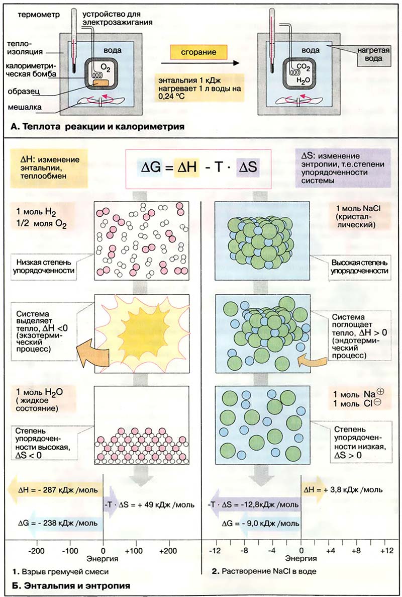 Основы биохимии. Физическая химия / Энтальпия и энтропия