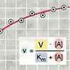 Б. Определение V и K<sub>m</sub>