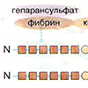 Б. Энергетический обмен головного мозга