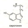 Синапсы