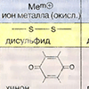 В. Биологические окислительно-восстановительные пары