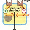 Г. Иерархическая система гормональной регуляции