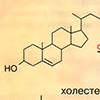 Механизм действия липофильных гормонов