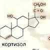 Стероиды: классификация